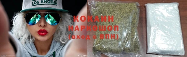 гашик Покровск