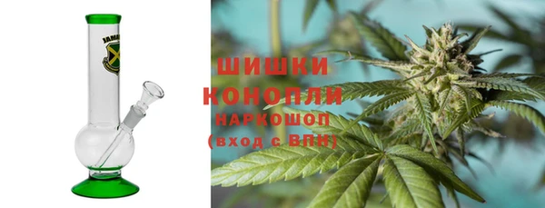соль ск Алзамай
