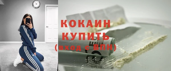 гашик Покровск