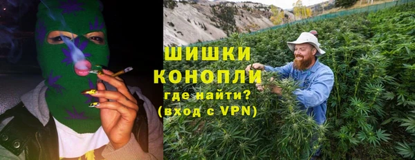 ПСИЛОЦИБИНОВЫЕ ГРИБЫ Аркадак