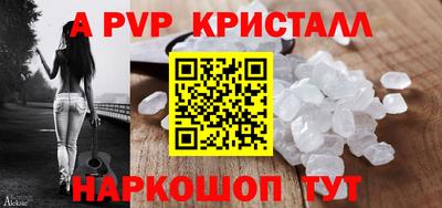 спиды Гатчина