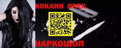 спиды Гатчина