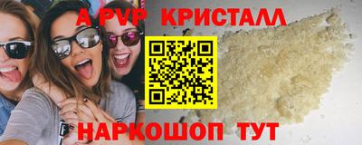спиды Гатчина