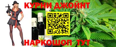 спиды Гатчина