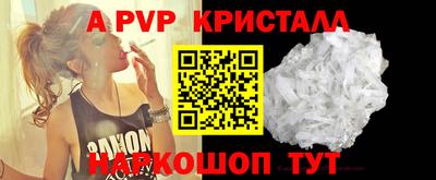 спиды Гатчина