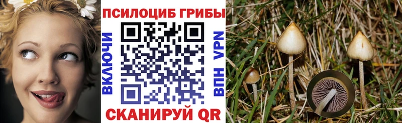 мега как войти  даркнет какой сайт  Новоуральск  Галлюциногенные грибы GOLDEN TEACHER  даркнет сайт 